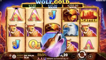 Визуальное оформление Wolf Gold Визуальное оформление Wolf Gold